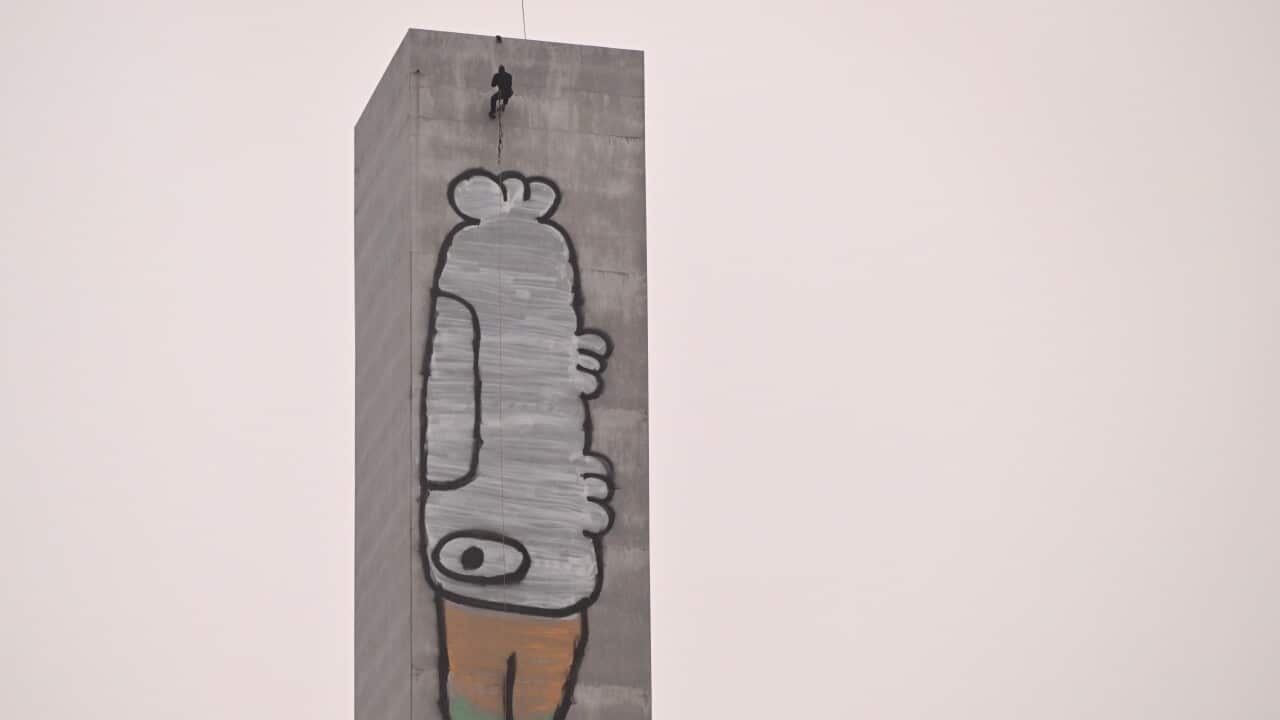 PAM THE BIRD BOLTE BRIDGE MELBOURNE