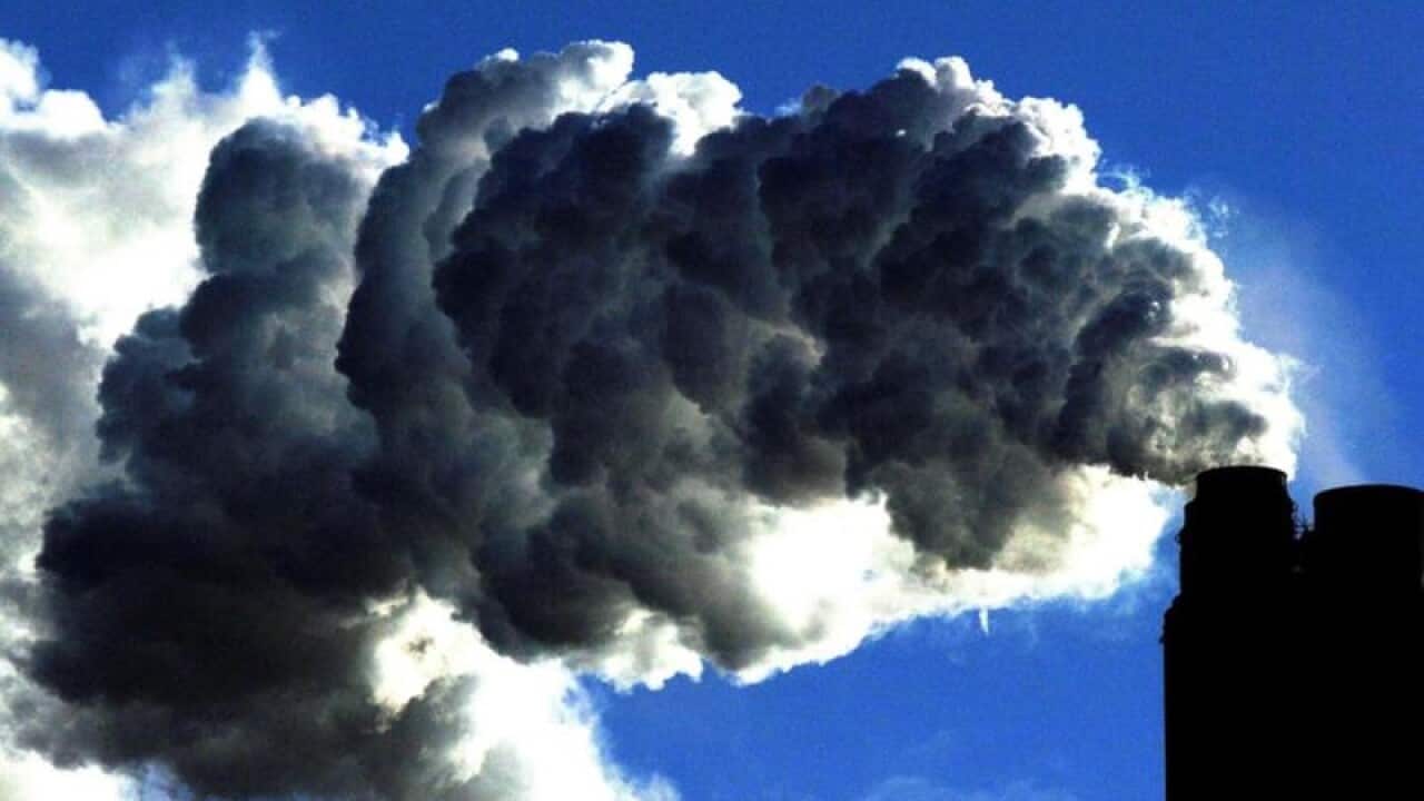 In its annual bulletin, the WMO also warned of a resurgence in a potent greenhouse gas.