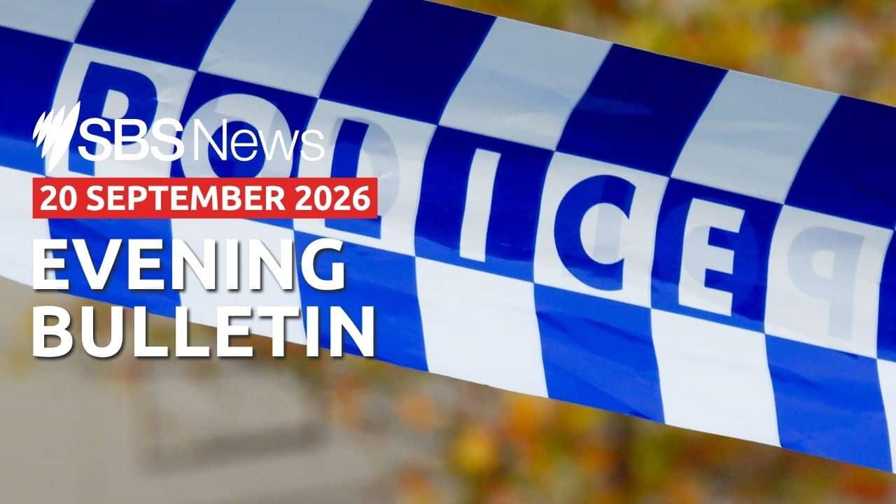 Afternoon news bulletin image 20 September 2026.jpg