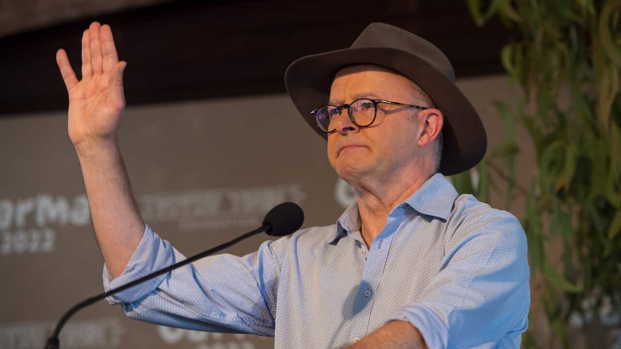 Indigenous Voice to the Parliament