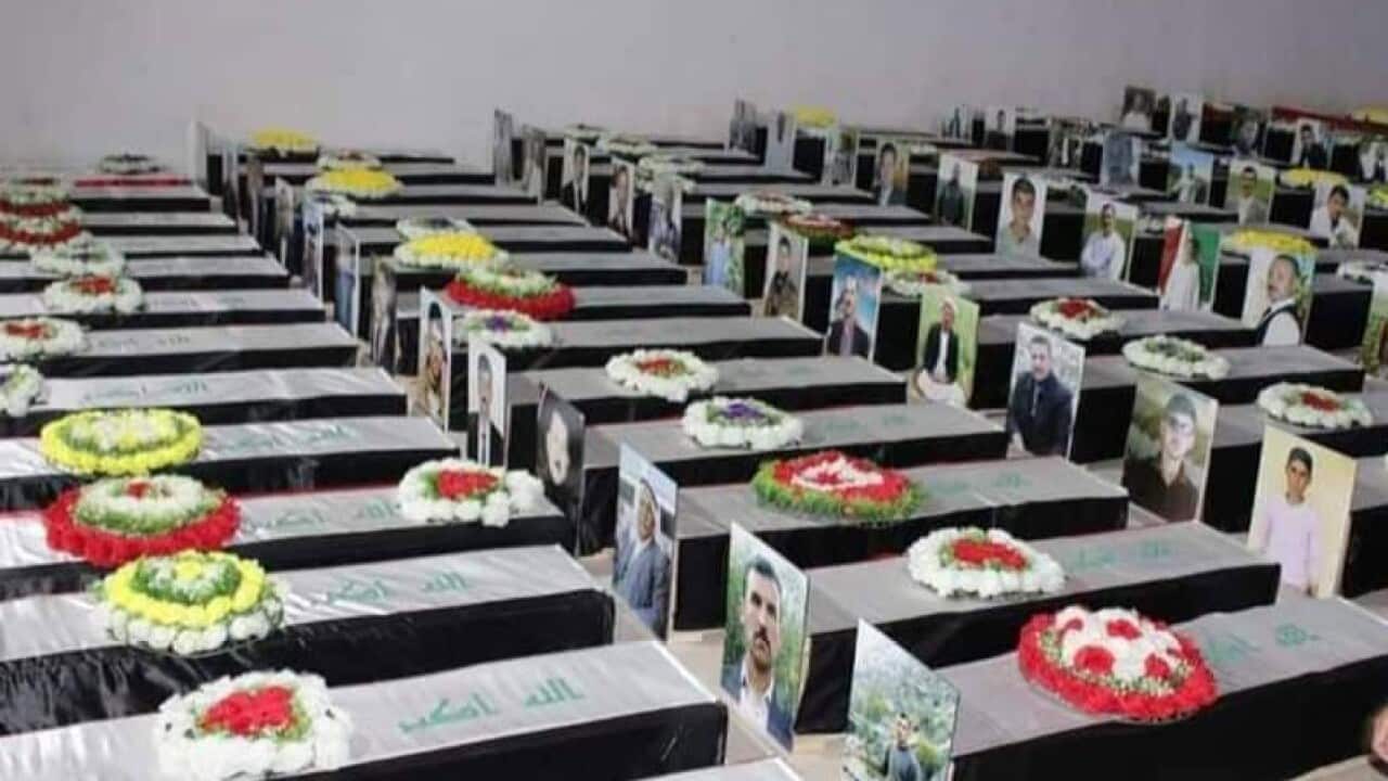 Image for read more article 'READ MORE'