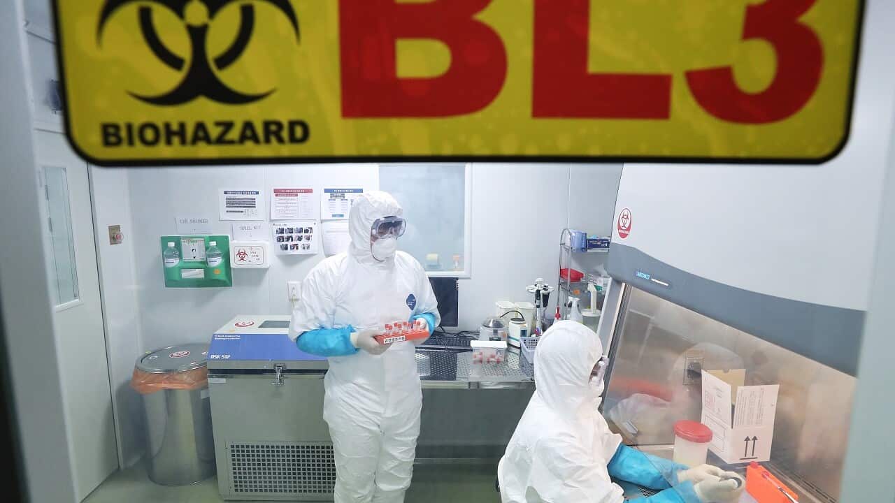 Researchers examine materials collected from a Chinese woman to find the cause of her mysterious pneumonia symptoms.