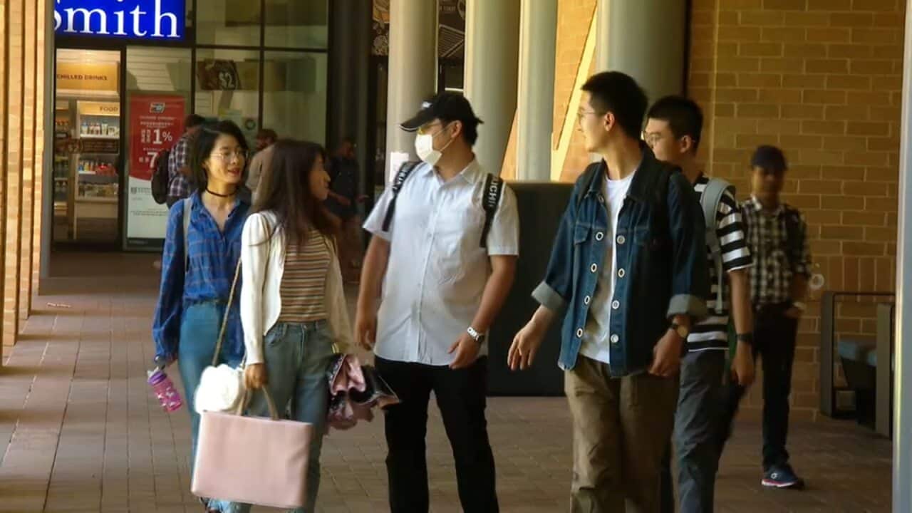 coronavirus outbreak could cost Australia's education industry $6 billion