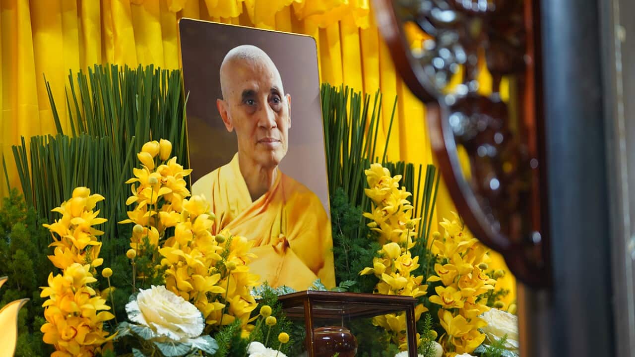 Thầy Tuệ Sỹ (Hoàng Pháp).jpg