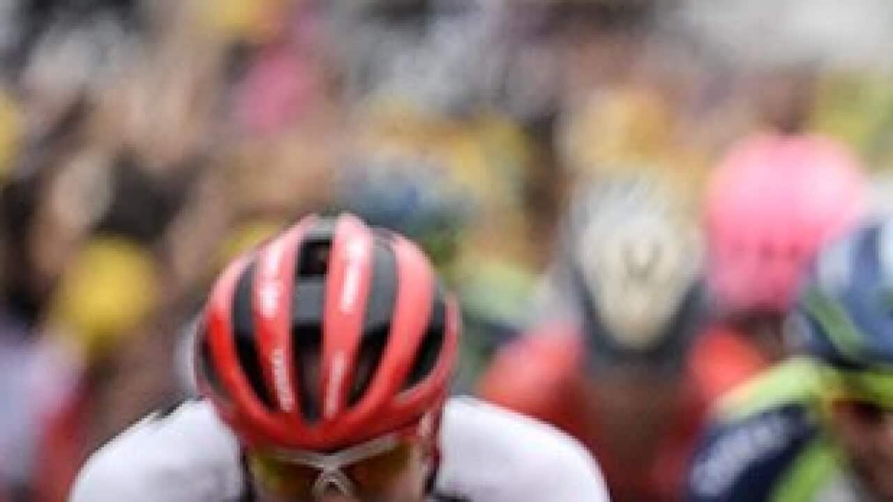 Peter Sagan, SBS Learn, SKODA