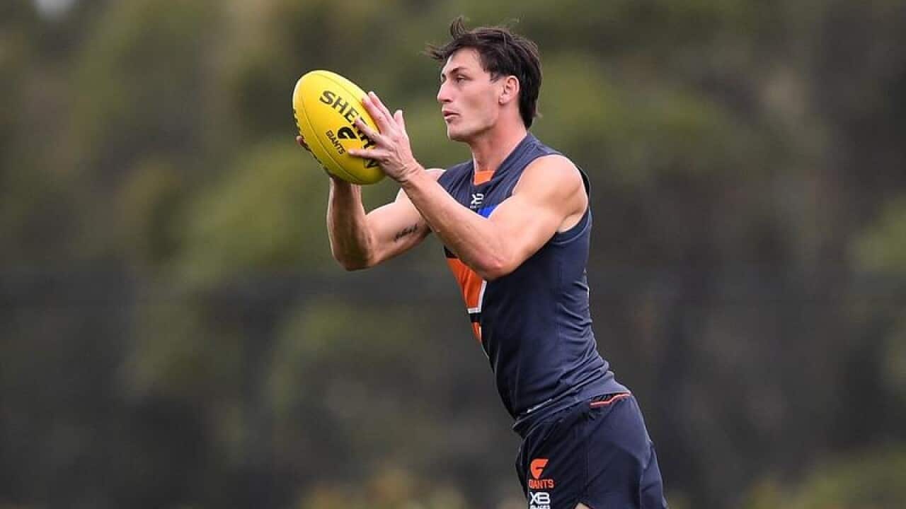 Jake Stein