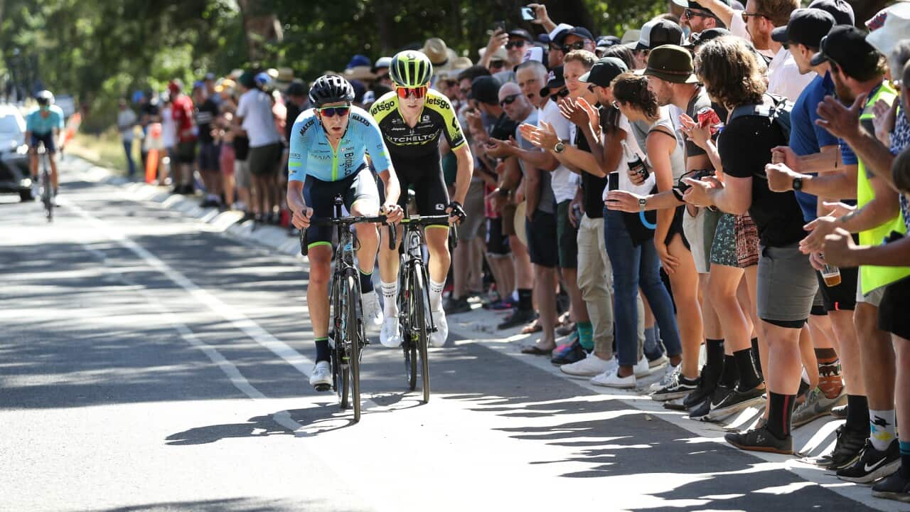 Chris Harper, Bridgelane, FedUni Road National Championships