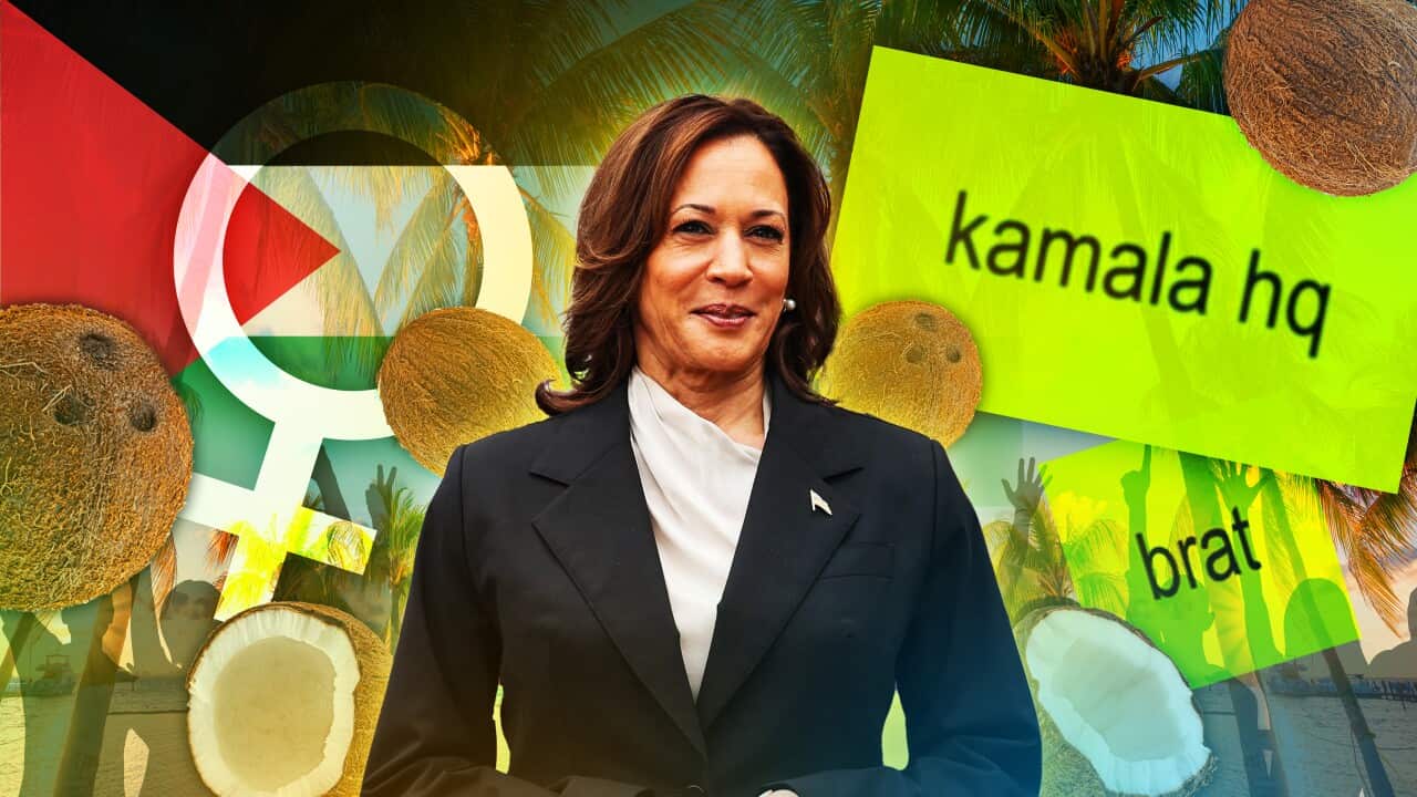 A graphic image of Democratic vice-president and presidential hopeful Kamala Harris with coconuts, a feminist symbol and a Palestinian flag in the background.