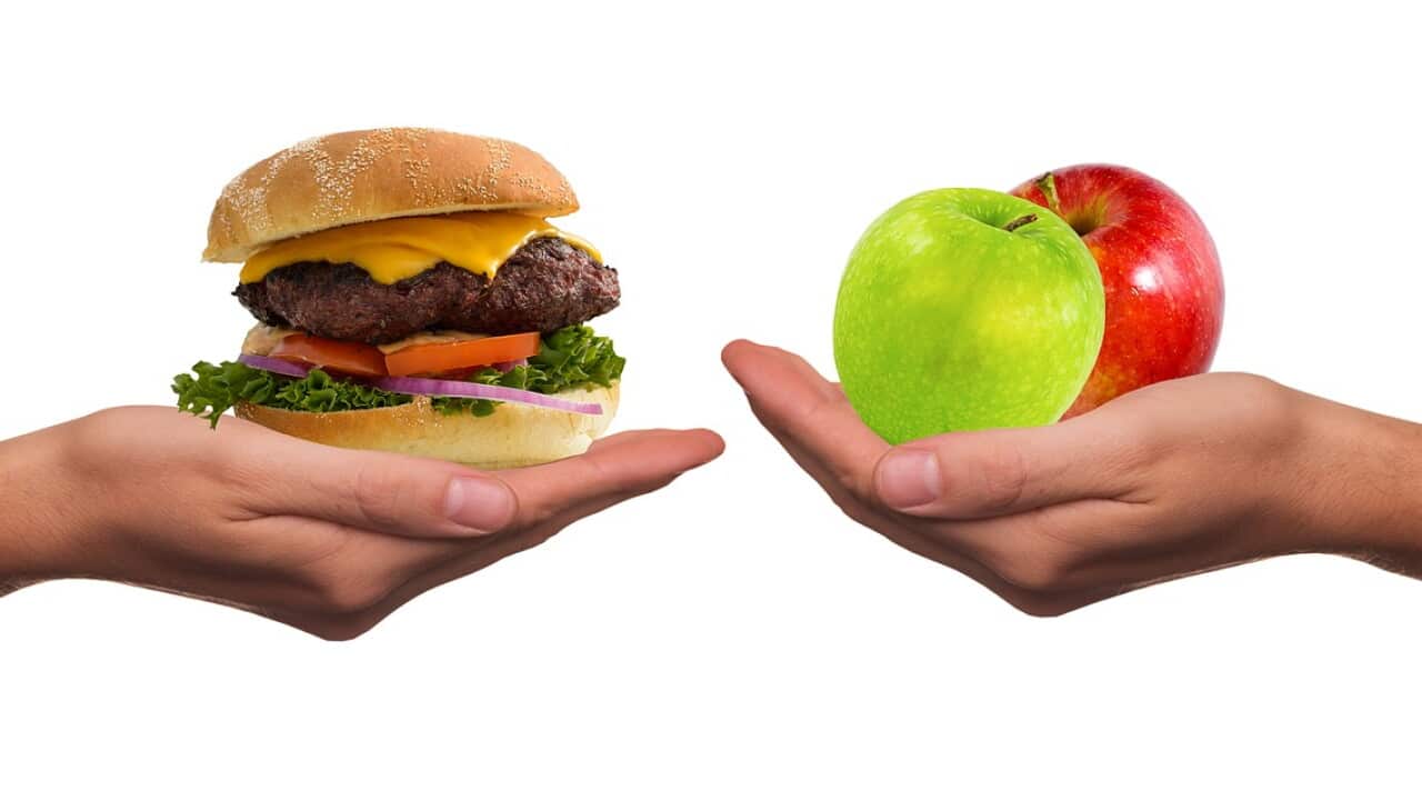 Vegetables or meat?