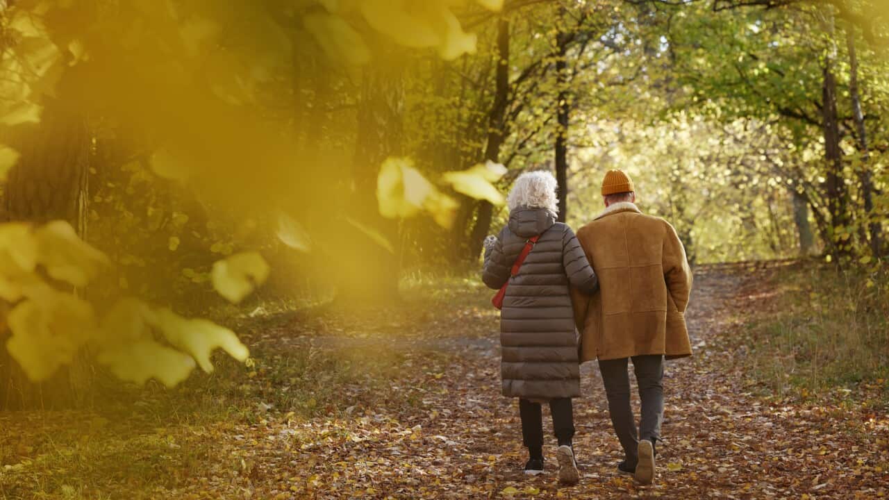 Senior couple walking in autumn park