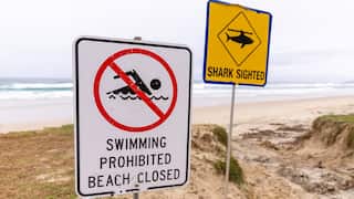 Northern NSW's Cabarita Beach Closes After Shark Attack