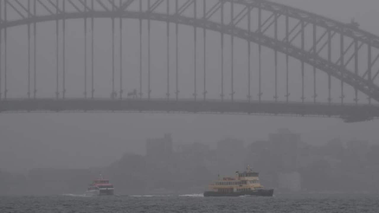 Rain on Sydney Harbour