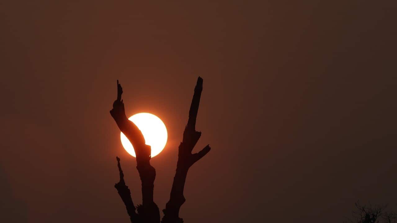 The sun sets behind trees in the Vila Nova Samuel region in Rondonia state, part of Brazil's Amazon, Sunday, Aug. 25, 2019.