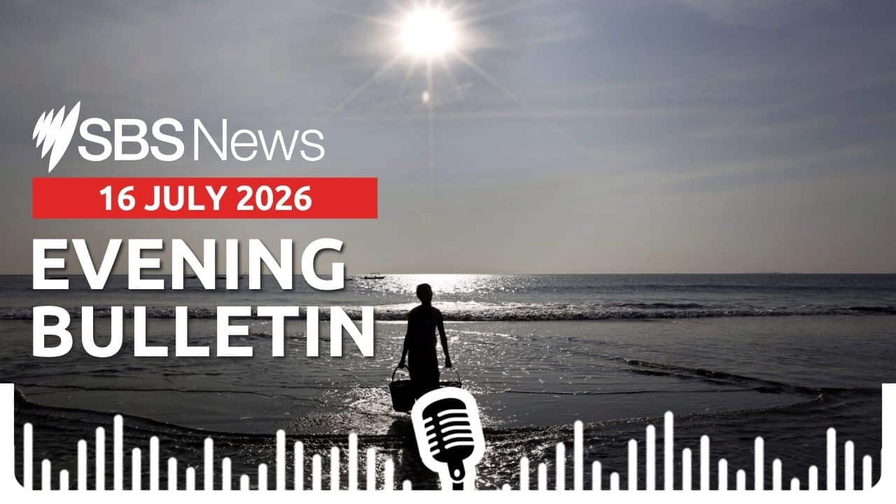 Evening News Bulletin image 16 July 2026.jpg