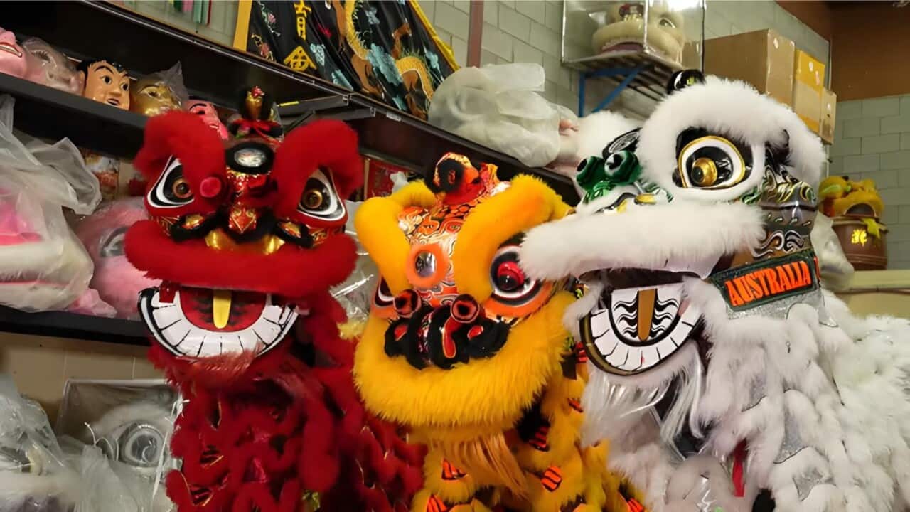 Brisbane's lion dancers (SBS).jpg