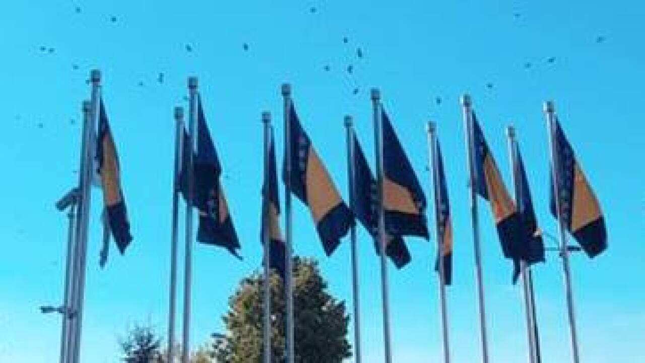 Bosnia and Herzegovina flags