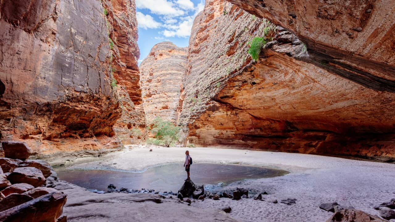 Purnululu National Park, Western Australia. Tourist at Cathedral Gorge