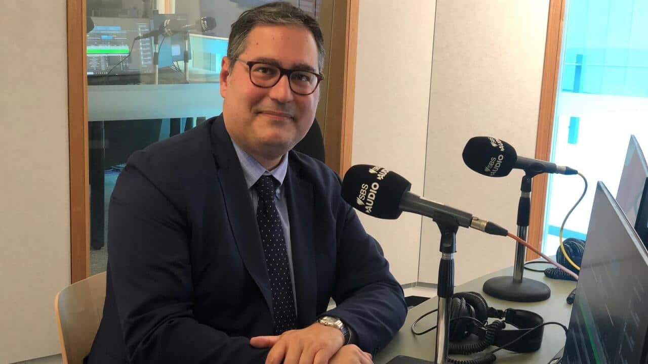 WhatsApp Image 2024-11-08 at 14.26.27.jpeg