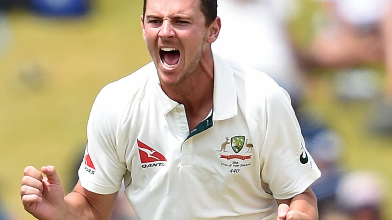 Australian bowler Josh Hazlewood.