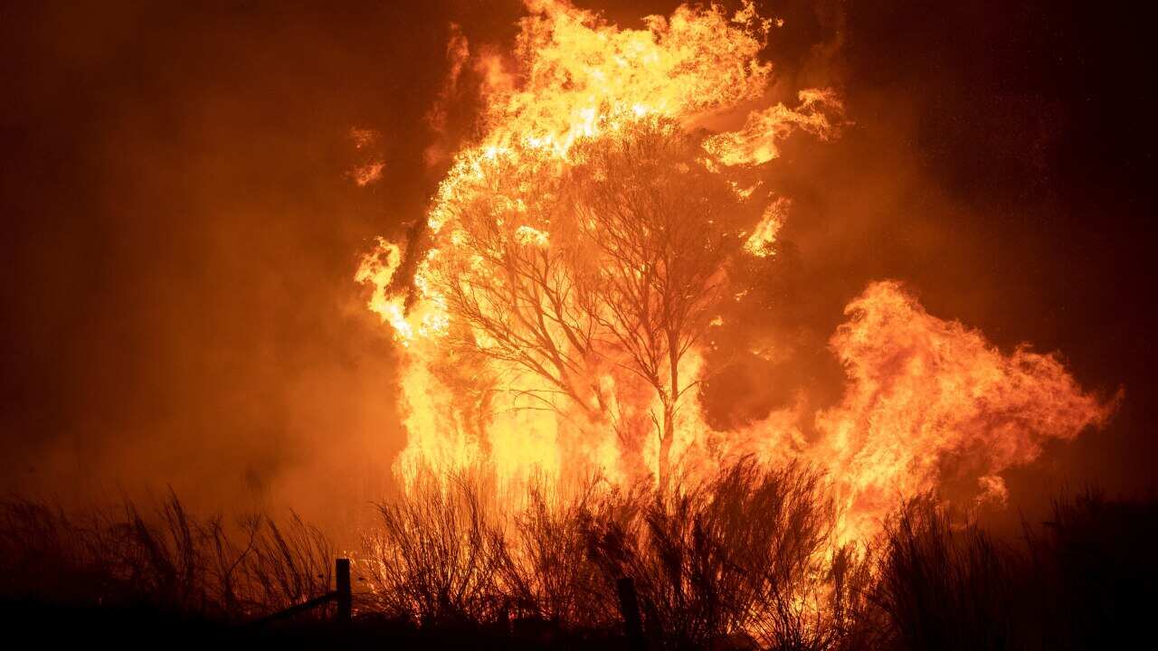 Human activity is responsible for nearly all climate change, according to a new study.