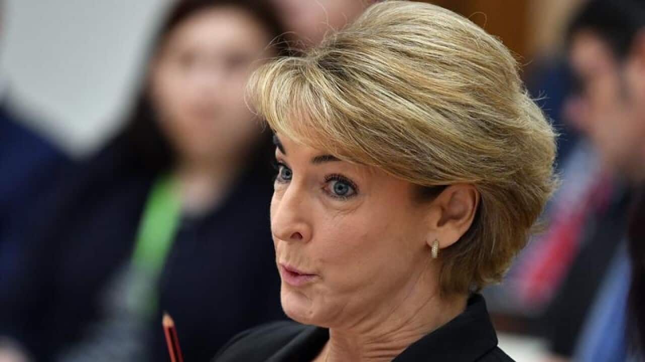 Minister for Jobs Michaelia Cash.