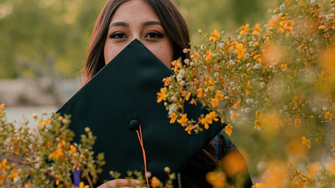 Spring pollen and what health problems it causes