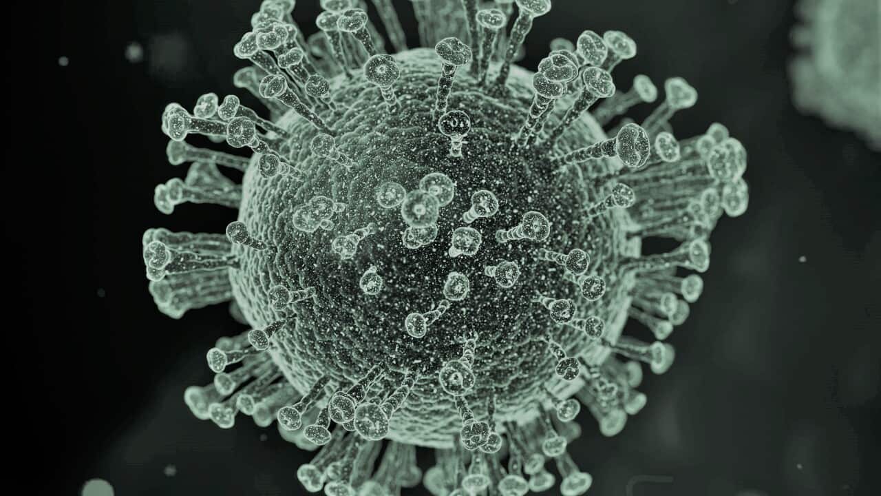 Coronavirus