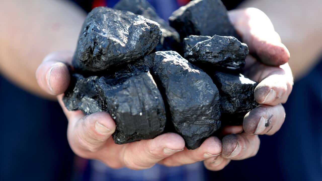 Pieces of coal in Adelaide, Tuesday, September 17, 2019. (AAP Image/Kelly Barnes) NO ARCHIVING