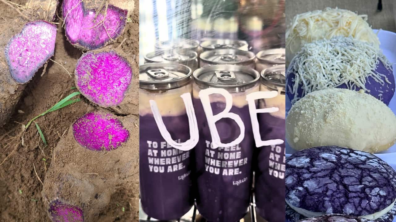 filipino ube