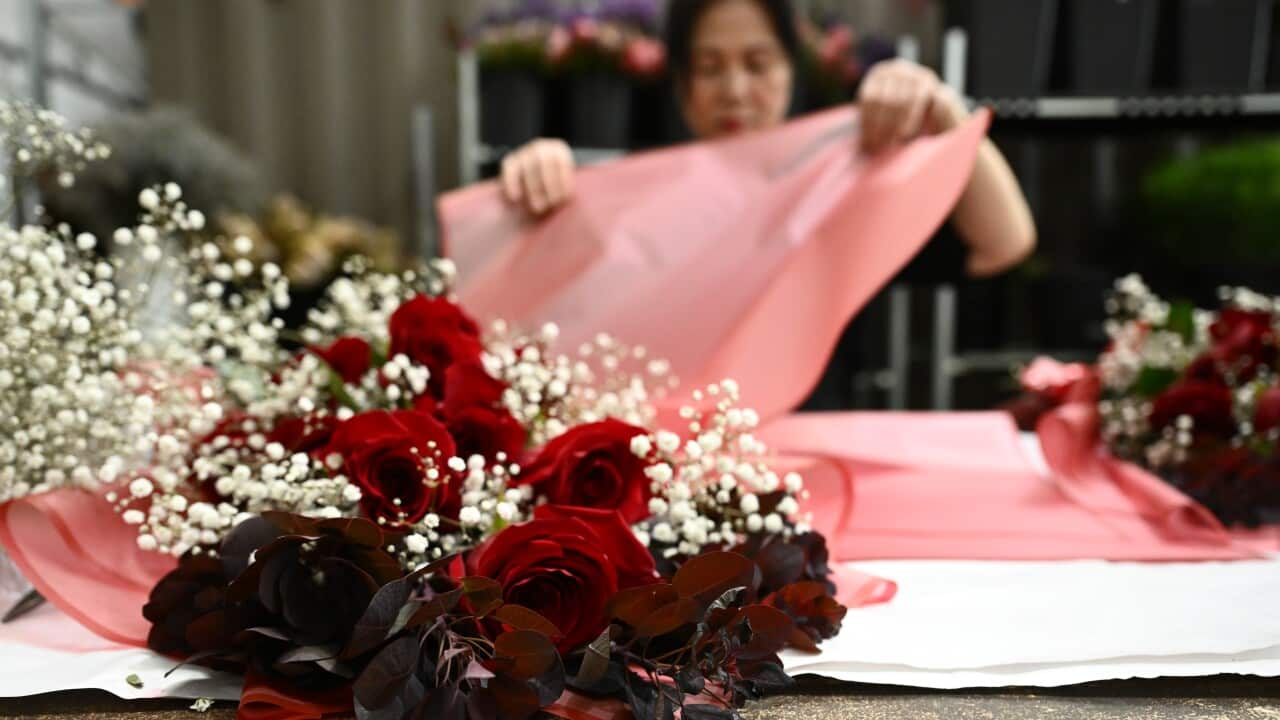 MELBOURNE VALENTINES DAY FEATURE