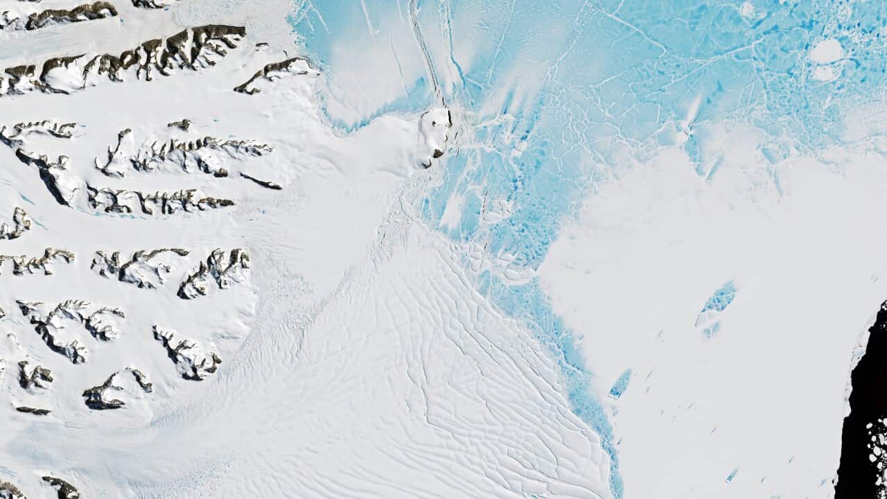 A handout photo made available by NASA in February 2017 showing a crack in the Larsen C ice shelf in Antarctica.
