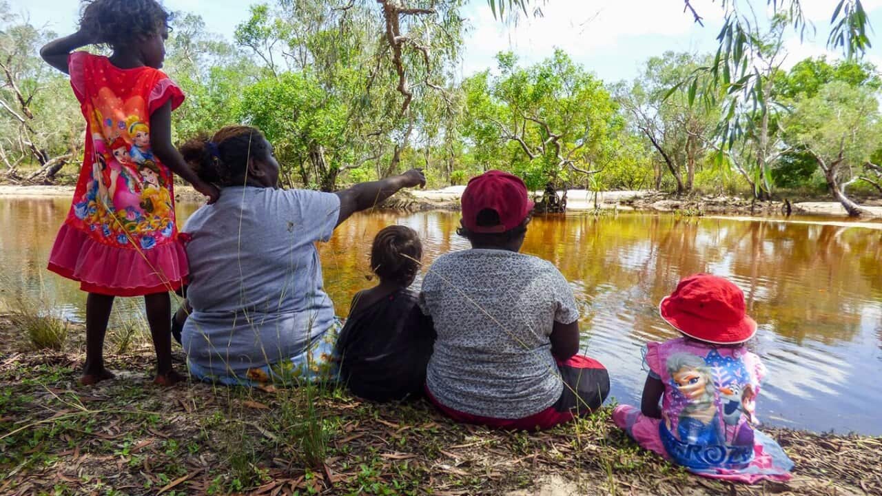 At least twice a week, the kids go out on Country where they learn from an entirely Aboriginal First Nations perspective. (Children's Ground)