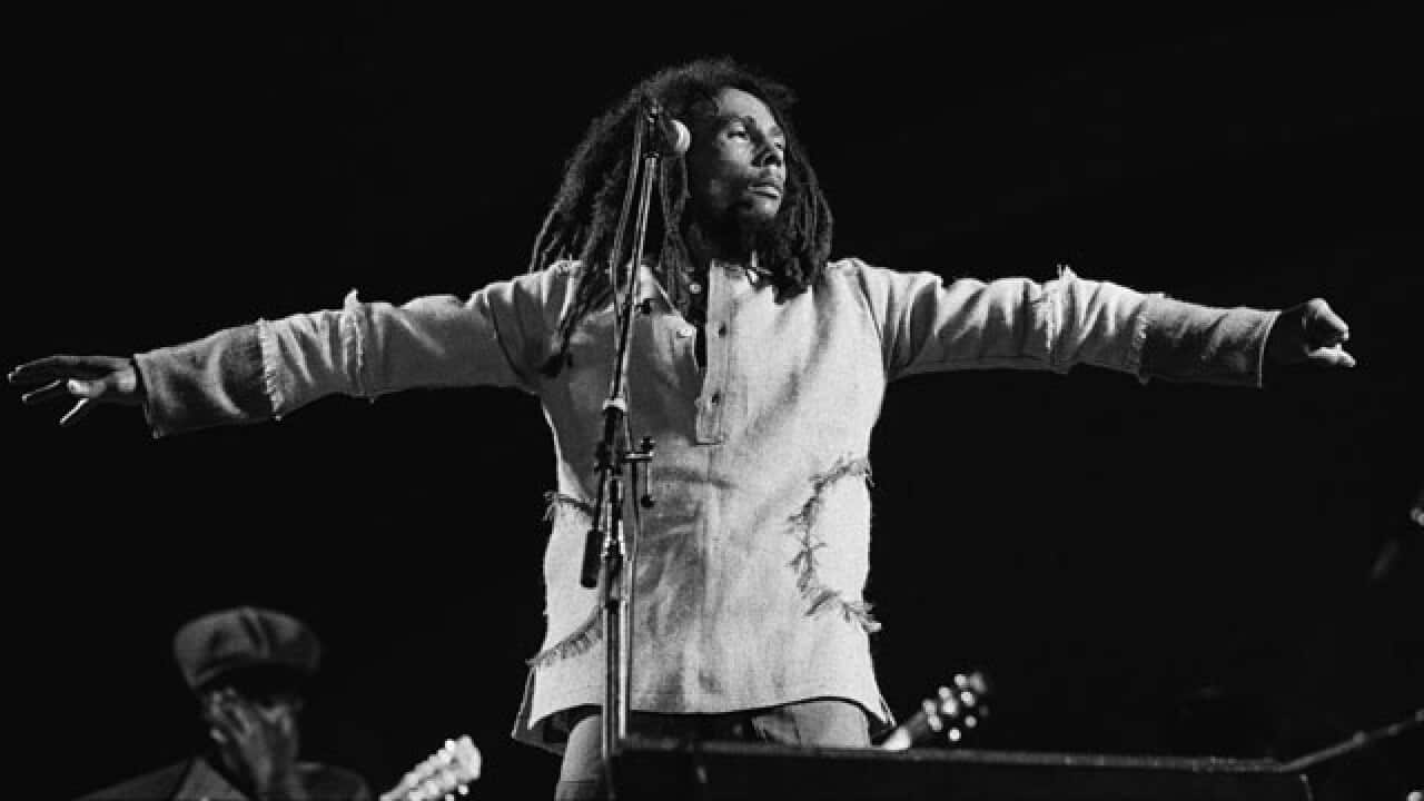 marley_640_2_1566271731