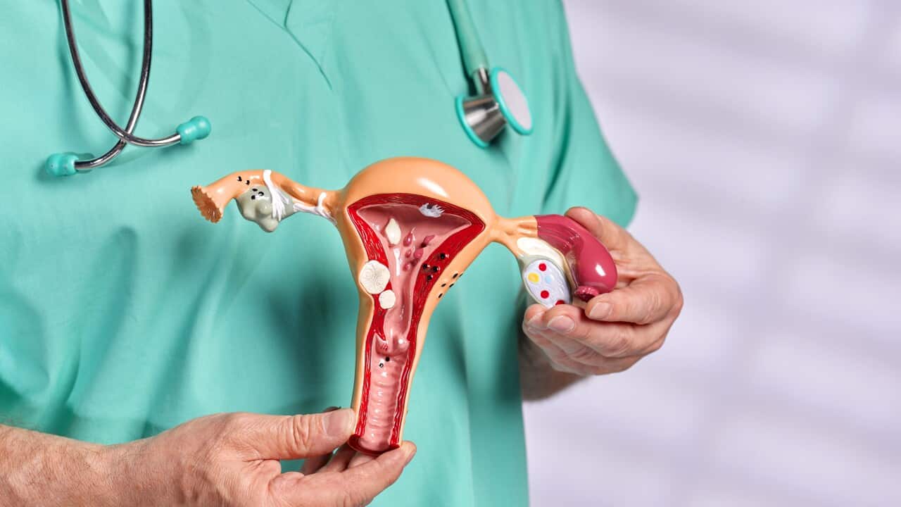 Surgeon in scrubs discussing common pathologies