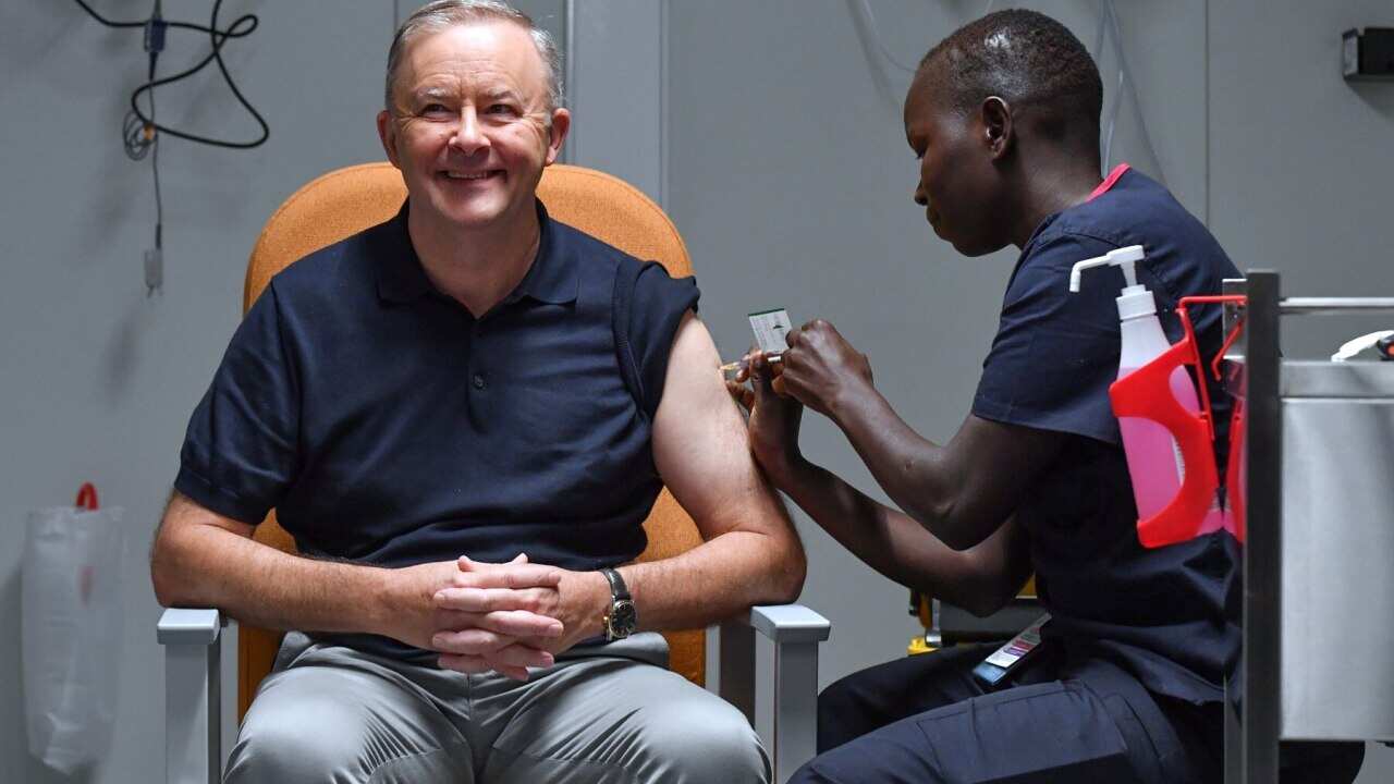Leader of the Opposition Anthony Albanese receives his COVID-19 vaccine injection