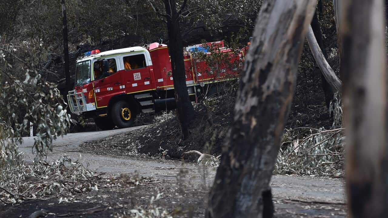 VICTORIAN BUSHFIRES