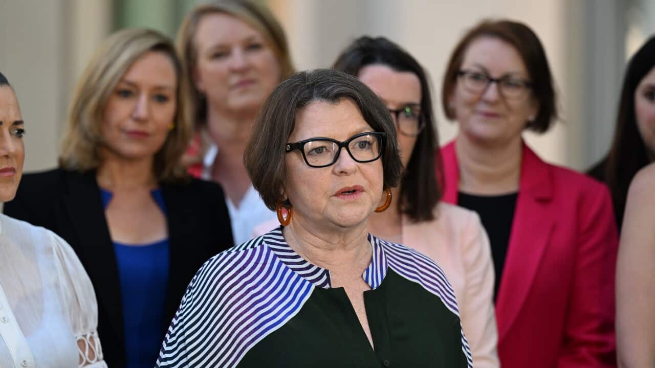 Assistant health minister Ged Kearney announces details of 20 endometriosis clinics