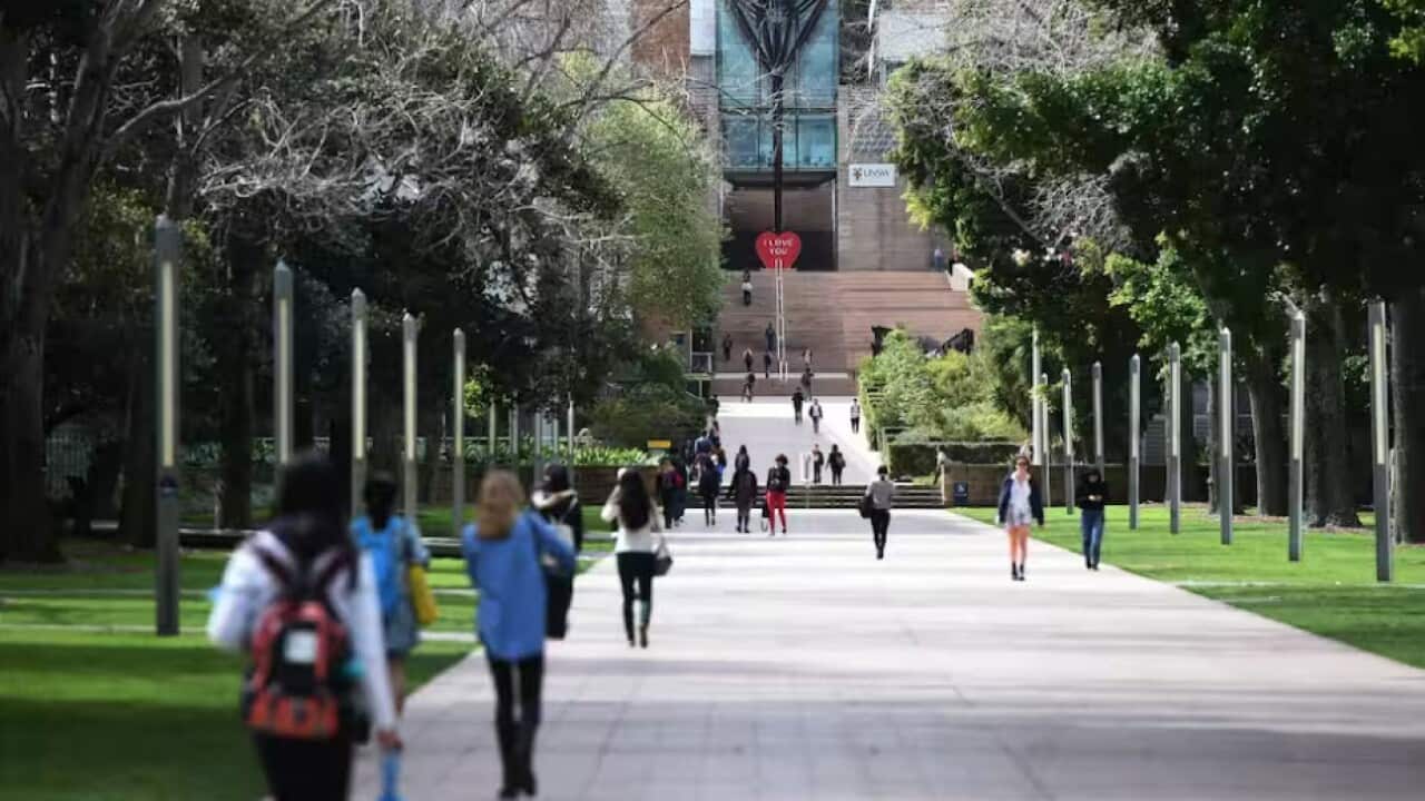 Uni.jpg