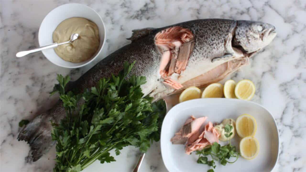 Salmon-Ink_1121297797