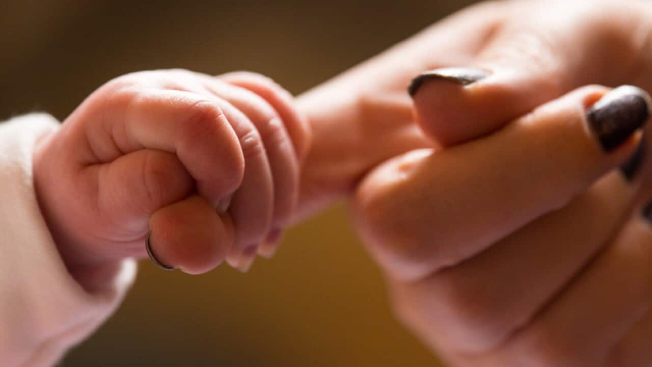 A new baby holds the finger of its mother