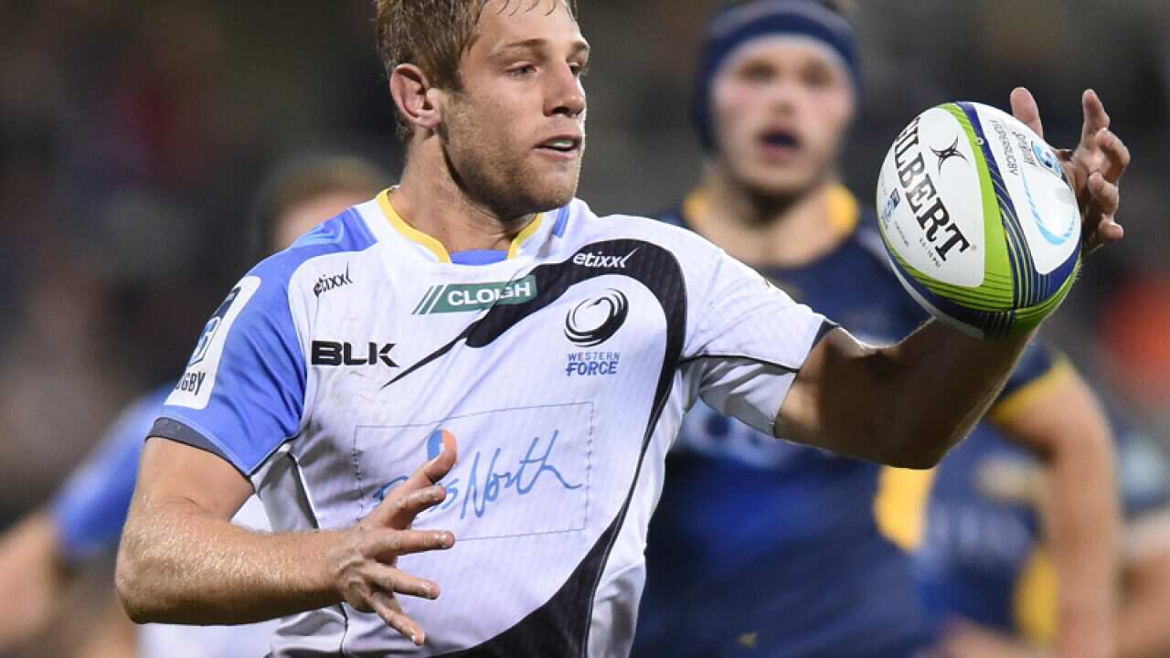 Wallabies debutant Kyle Godwin