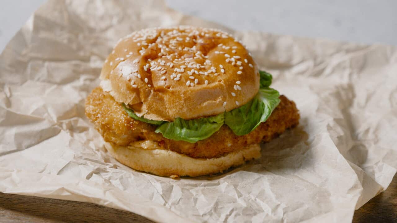 Panko chicken schnitzel burgers