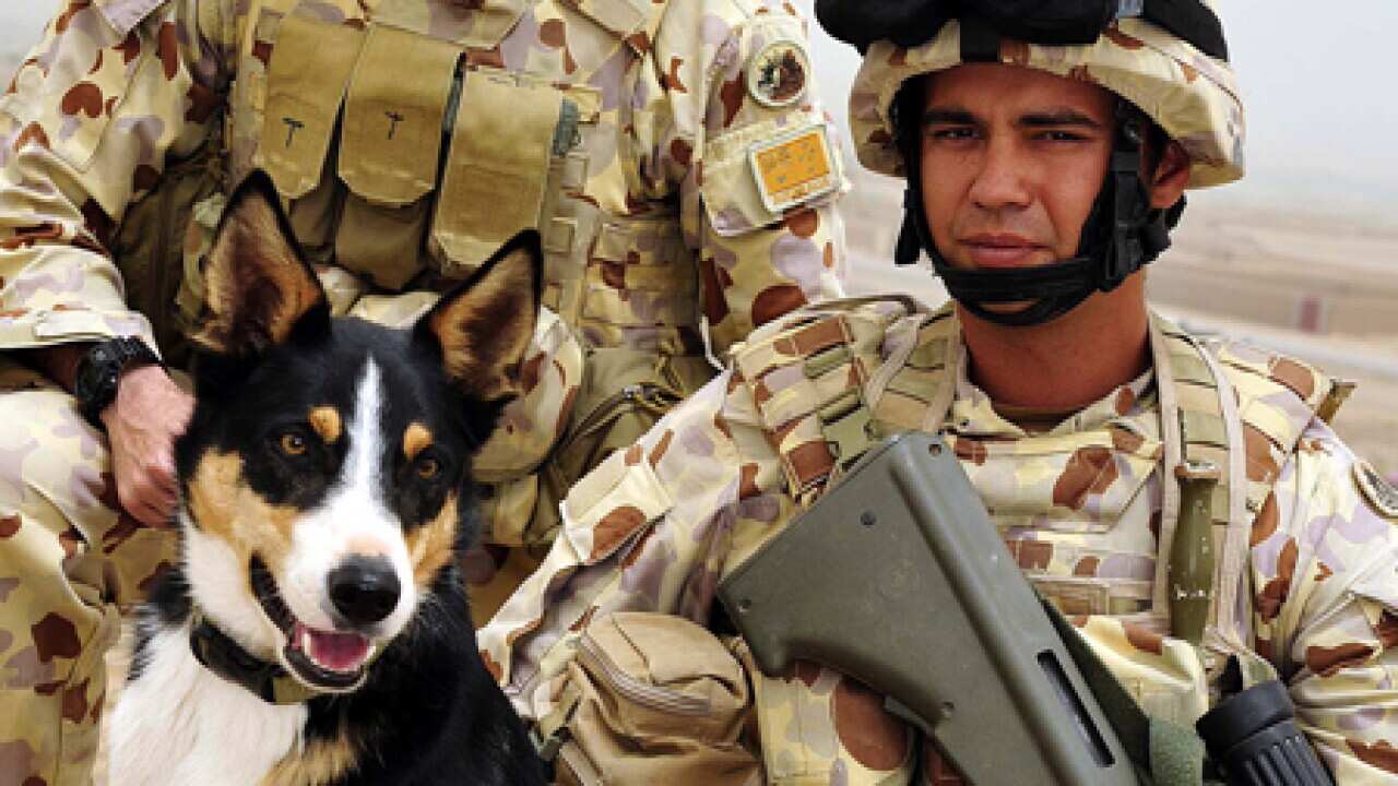 diggers_killed_afghanistan_100608_aap_1875807259