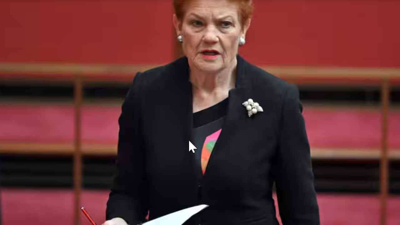One Nation leader Pauline Hanson says the government has been too reliant on migration to keep the economy going..png