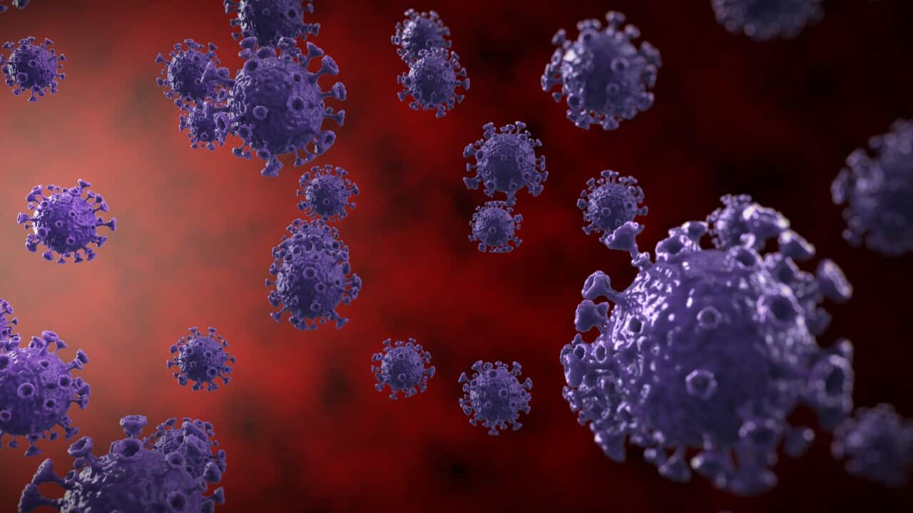 Coronavirus Agents Flow Abstract 3D Illustration