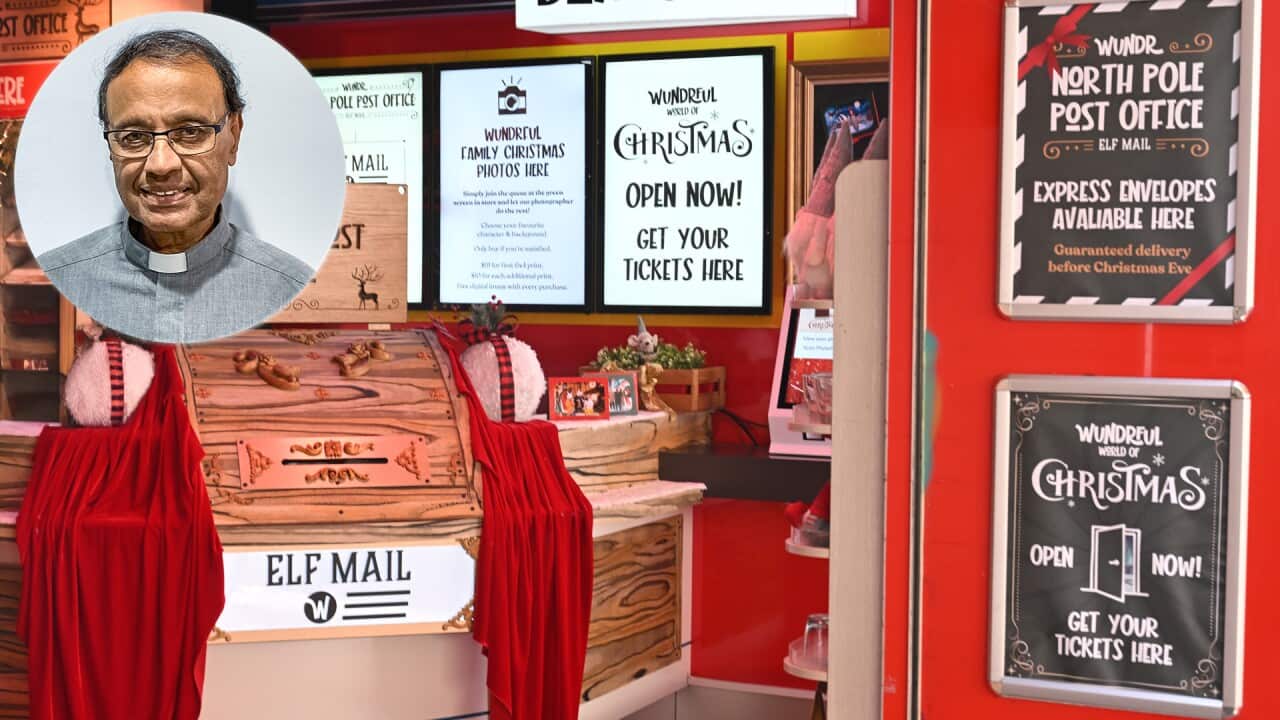 CHRISTMAS SHOP WINDOW STOCK