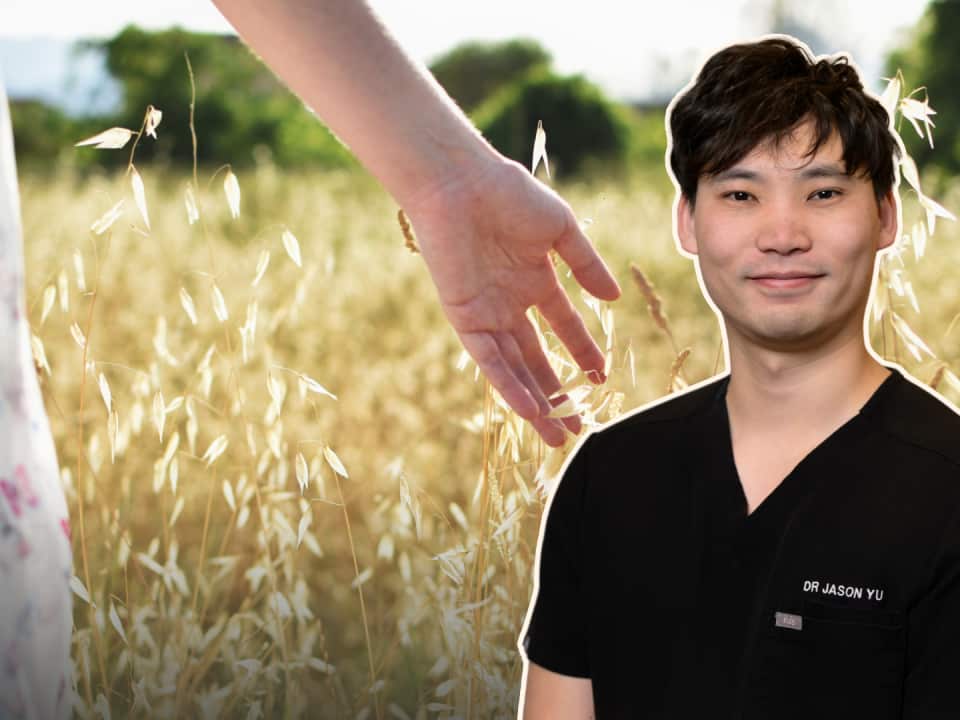 Copy of ALC Header Cutout.png