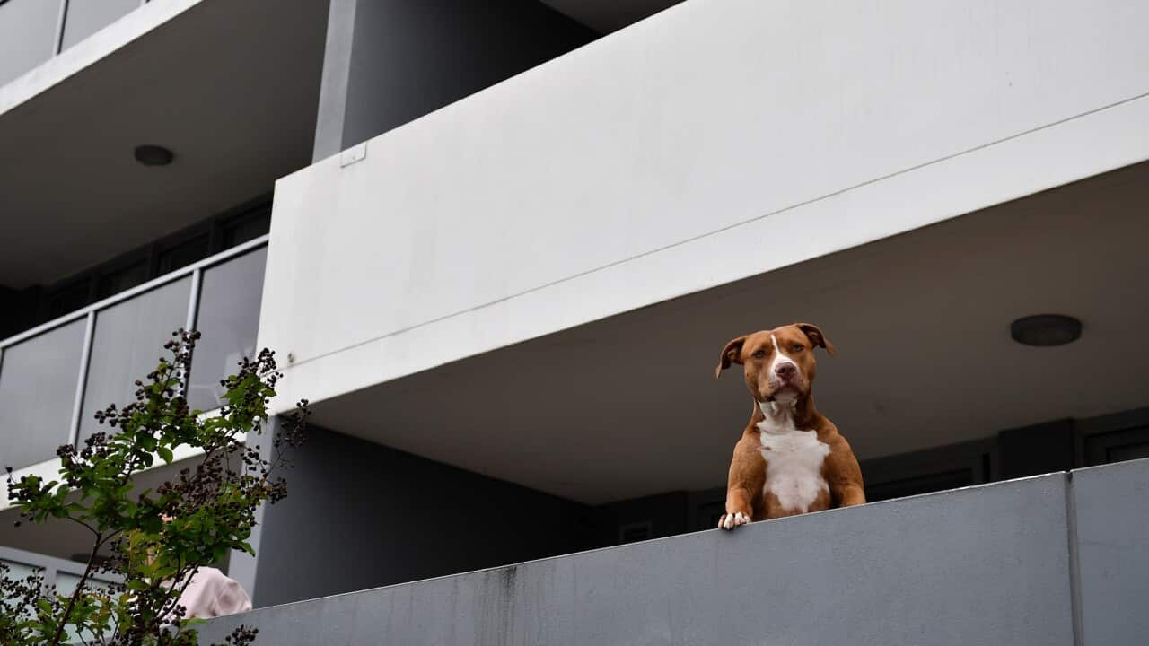 VICINITY APARTMENT TOWER SYDNEY