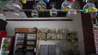 An indoor bar area features upside-down cocktail glasses hanging from the ceiling above shelves stocked with various liquor bottles, two refrigerators filled with beverages, and two grey chairs next to a floor fan.