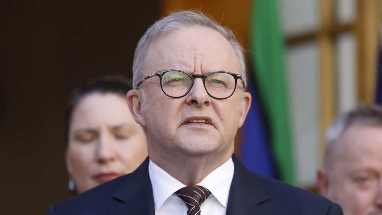Anthony Albanese in a suit.